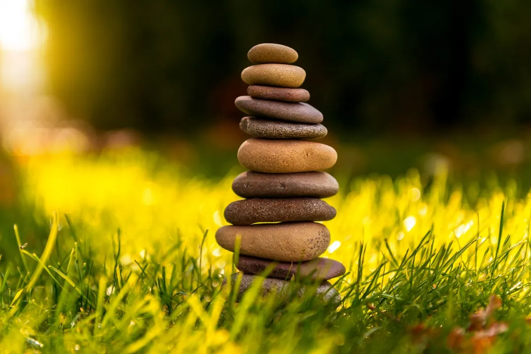 竺可桢：唐宋大诗人诗中的物候