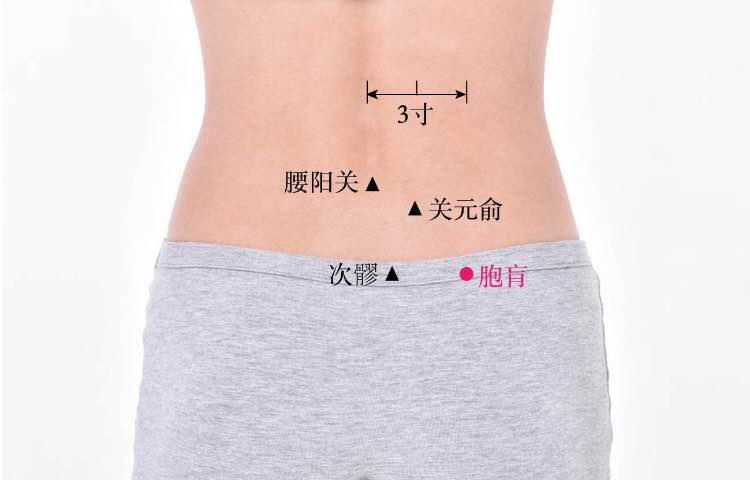 胞肓的证治纲要与定位图解