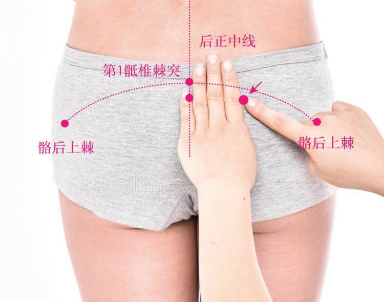 胞肓的证治纲要与定位图解