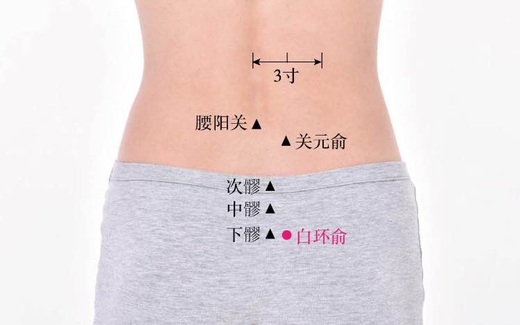 白环俞的证治纲要与定位图解