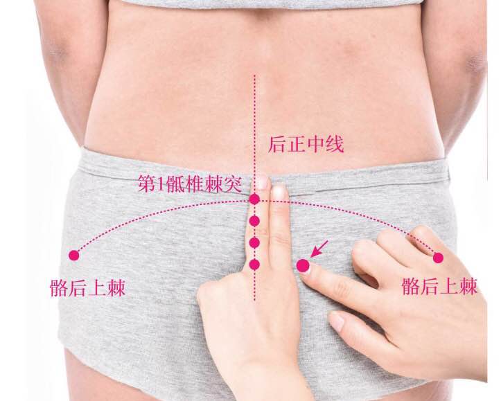 白环俞的证治纲要与定位图解