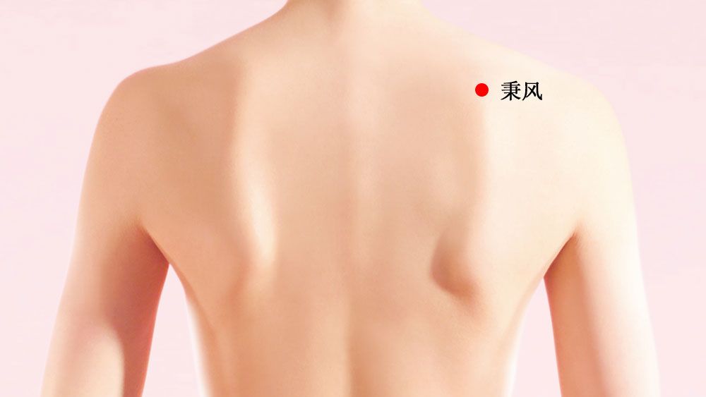 秉风的证治纲要与定位图解
