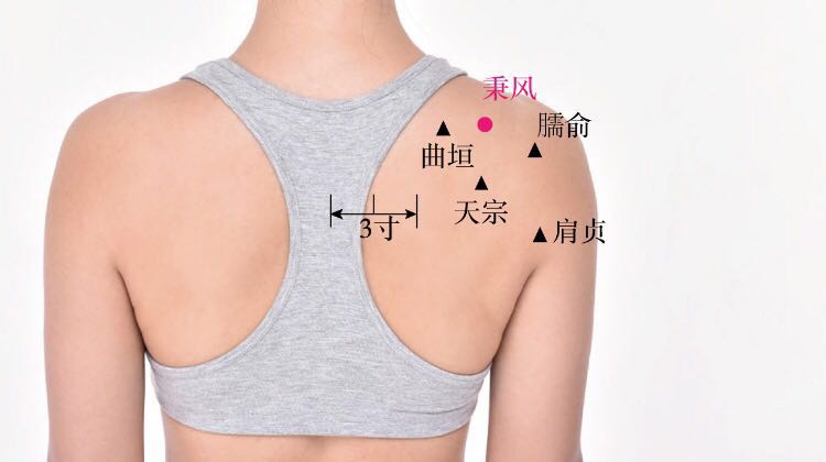 秉风的证治纲要与定位图解