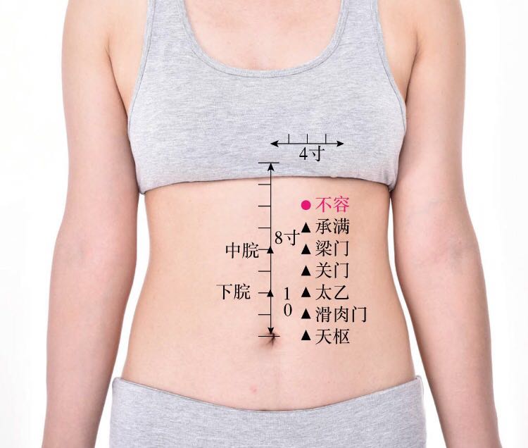 不容的证治纲要与定位图解