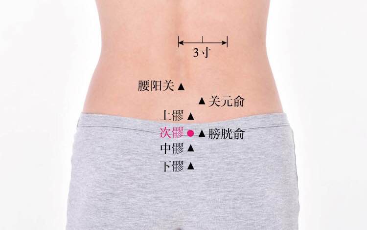 次髎的证治纲要与定位图解