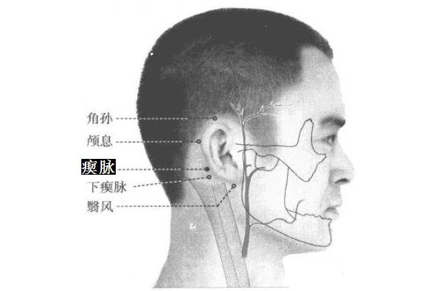 瘈脉的证治纲要与定位图解