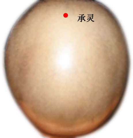 承灵的证治纲要与定位图解
