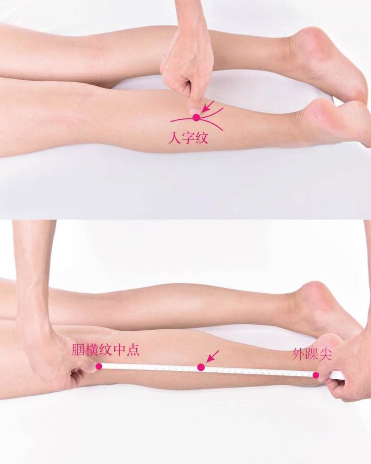承山的证治纲要与定位图解