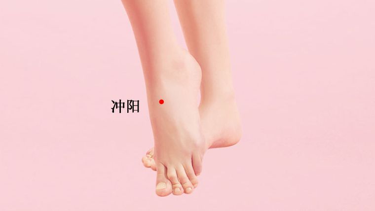 冲阳的证治纲要与定位图解