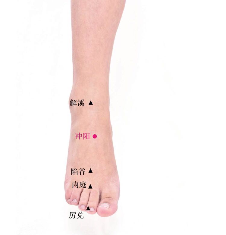 冲阳的证治纲要与定位图解