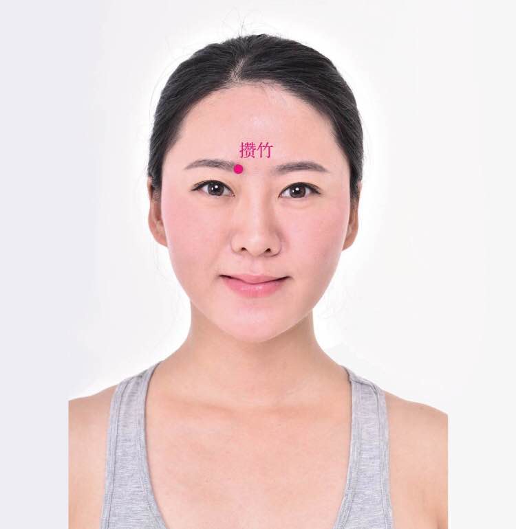 攒竹的证治纲要与定位图解
