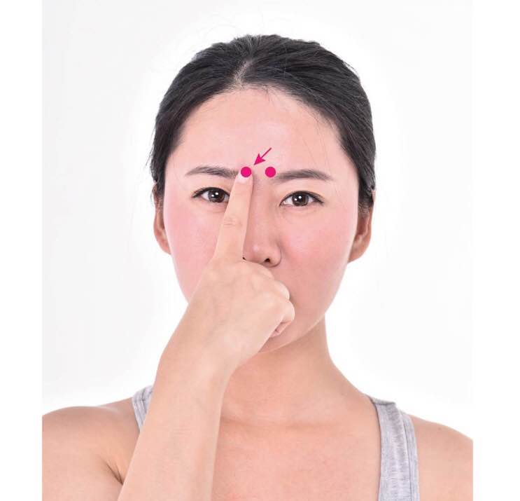 攒竹的证治纲要与定位图解