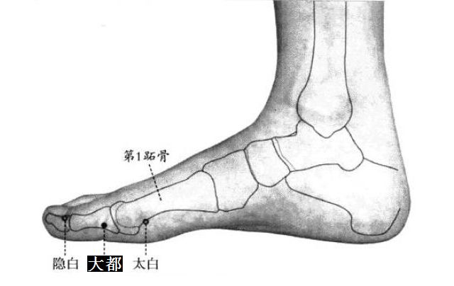大都的证治纲要与定位图解