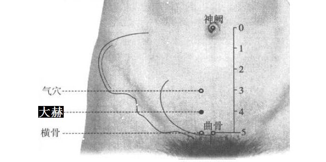 大赫的证治纲要与定位图解