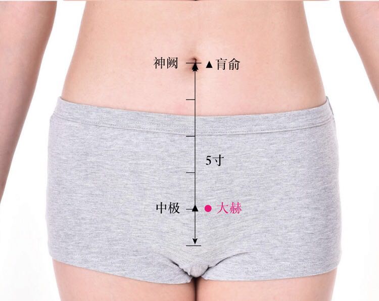 大赫的证治纲要与定位图解