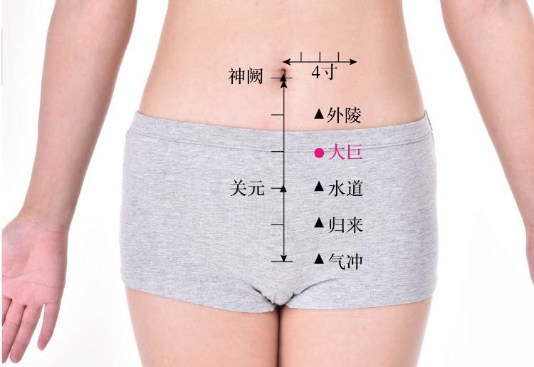 大巨的证治纲要与定位图解