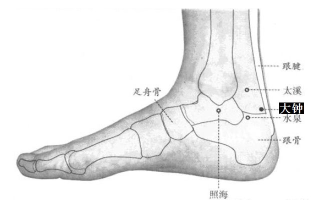 大钟的证治纲要与定位图解