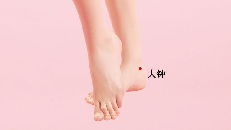 大钟的证治纲要与定位图解