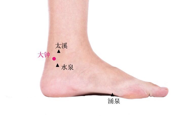 大钟的证治纲要与定位图解