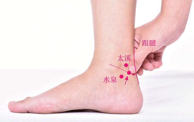 大钟的证治纲要与定位图解