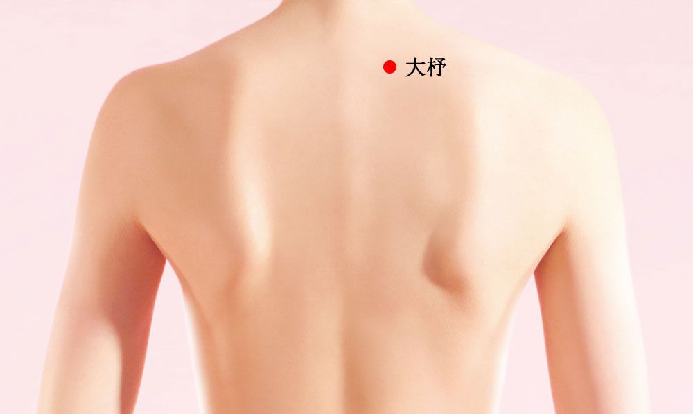 大杼的证治纲要与定位图解