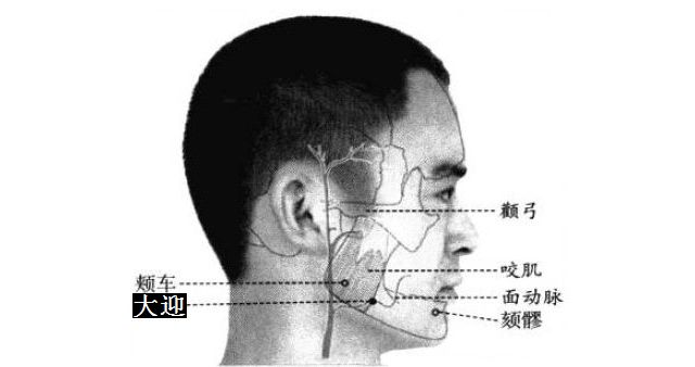 大迎的证治纲要与定位图解
