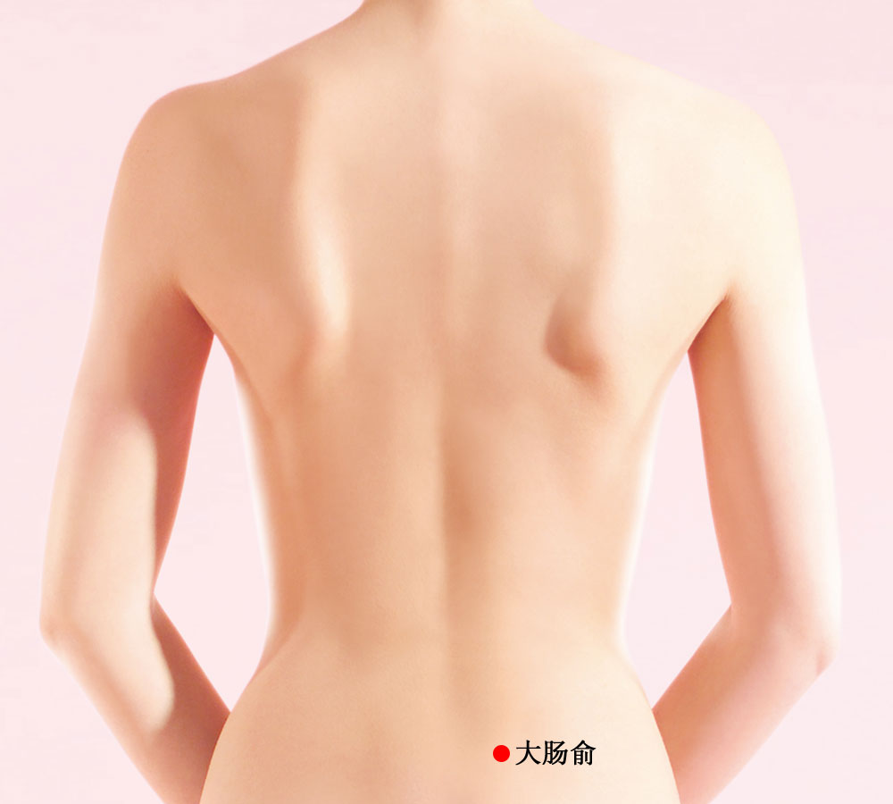大肠俞的证治纲要与定位图解