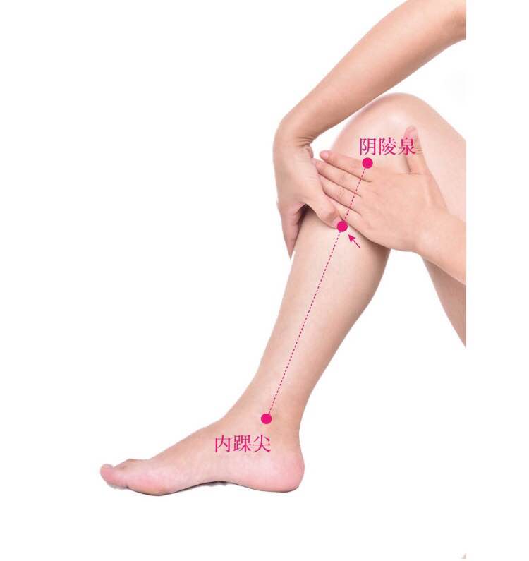 地机的证治纲要与定位图解