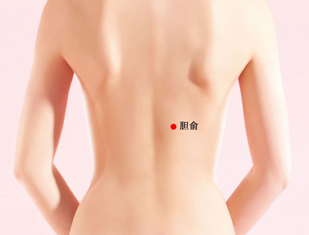胆俞的证治纲要与定位图解