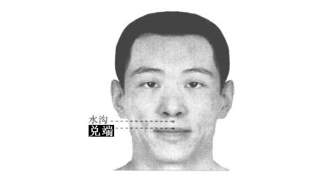 兑端的证治纲要与定位图解