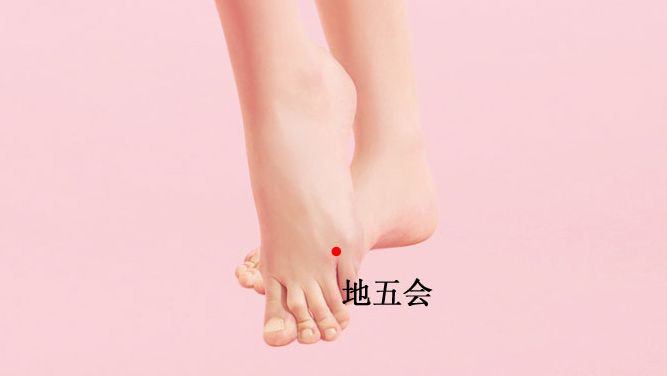 地五会的证治纲要与定位图解