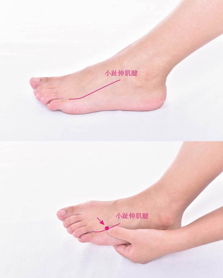 地五会的证治纲要与定位图解