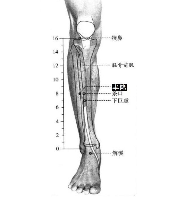 痰湿体质的日常调理