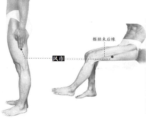 风市的证治纲要与定位图解