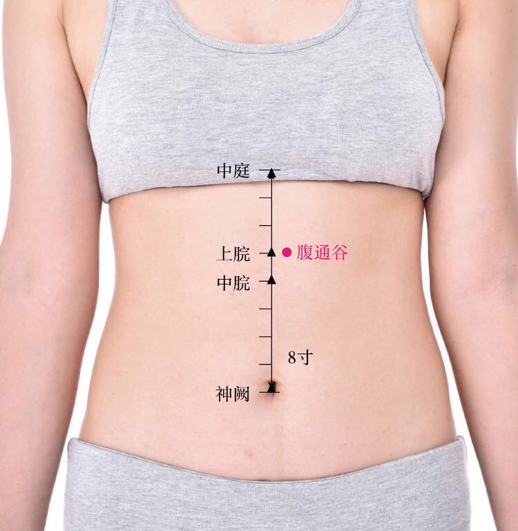 腹通谷的证治纲要与定位图解