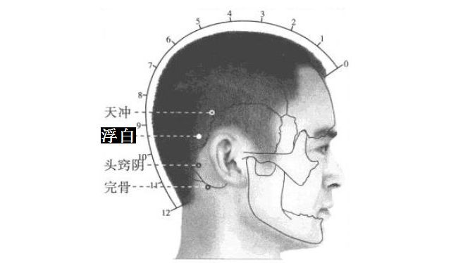 浮白的证治纲要与定位图解