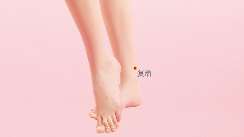 增强精力的艾灸疗法