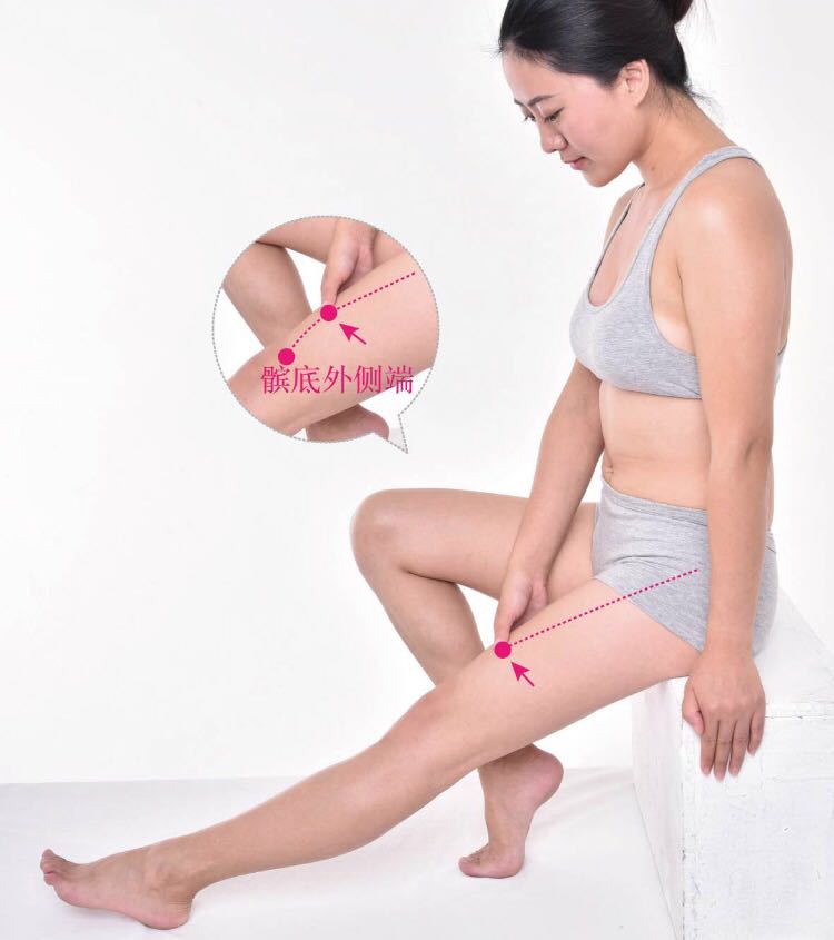 伏兔的证治纲要与定位图解