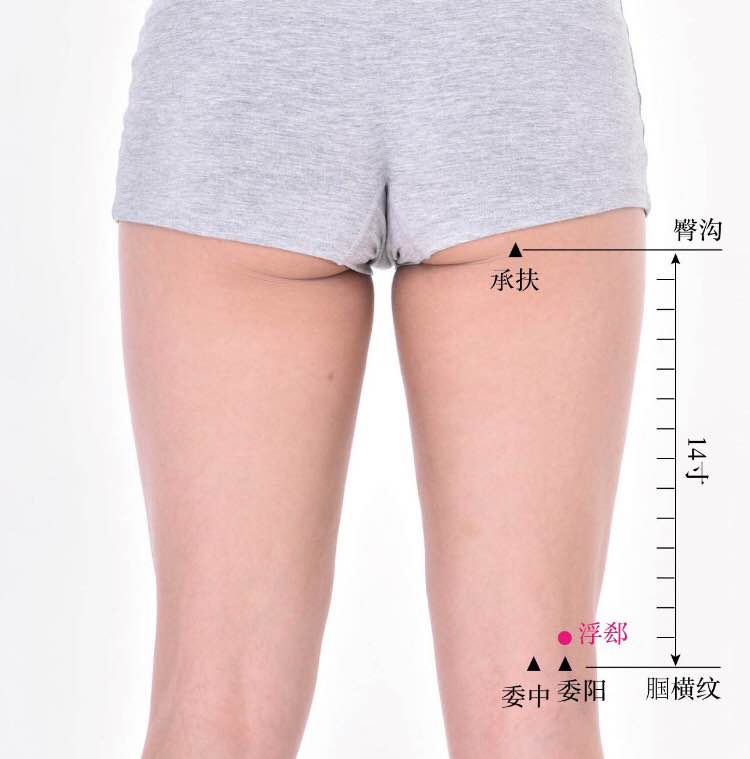 浮郄的证治纲要与定位图解