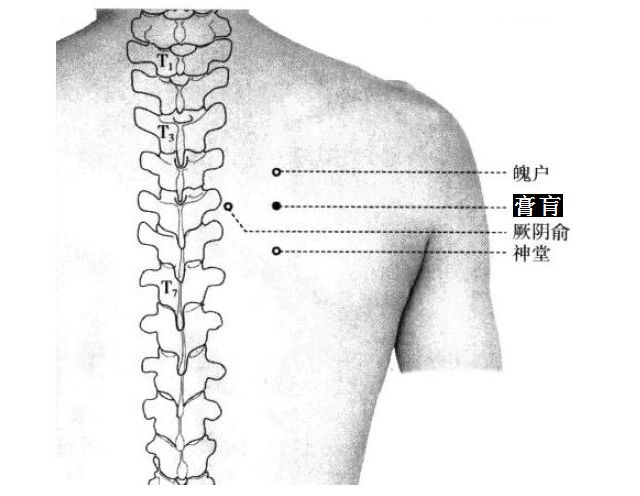 膏肓的证治纲要与定位图解