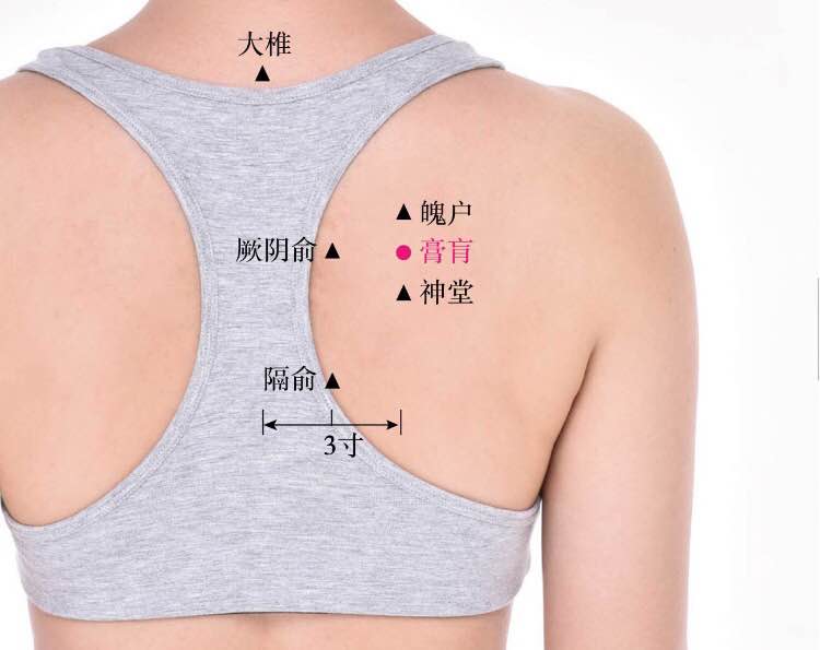 膏肓的证治纲要与定位图解