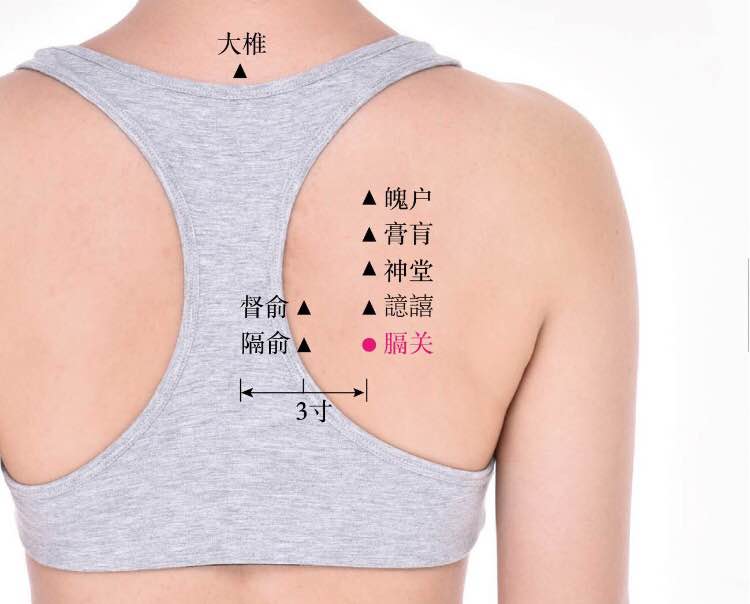膈关的证治纲要与定位图解
