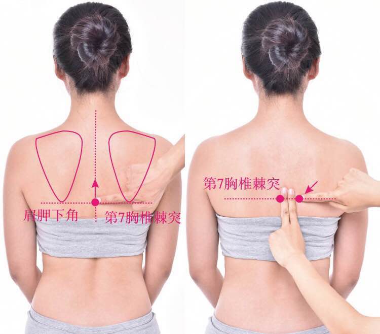 膈俞的证治纲要与定位图解