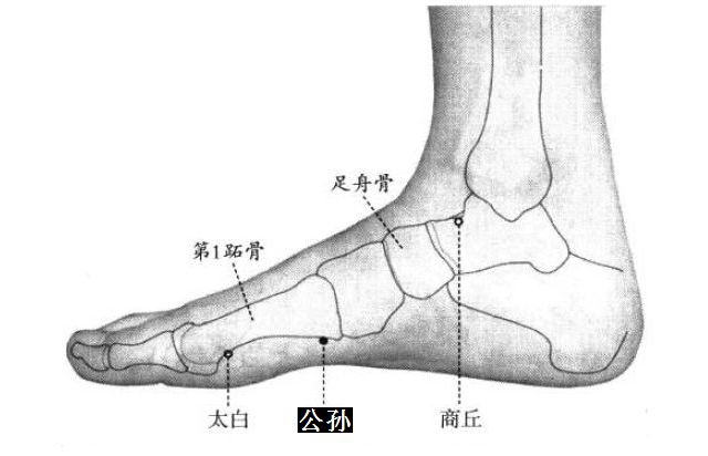 公孙的证治纲要与定位图解