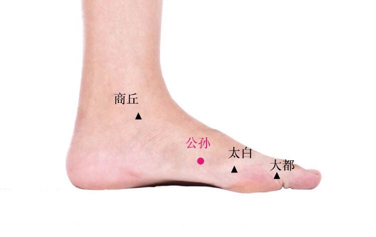 公孙的证治纲要与定位图解