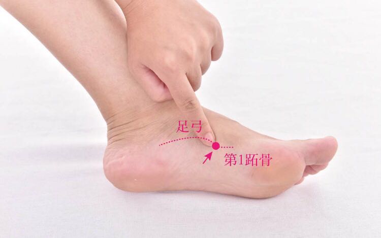 公孙的证治纲要与定位图解