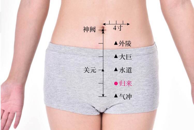 归来的证治纲要与定位图解