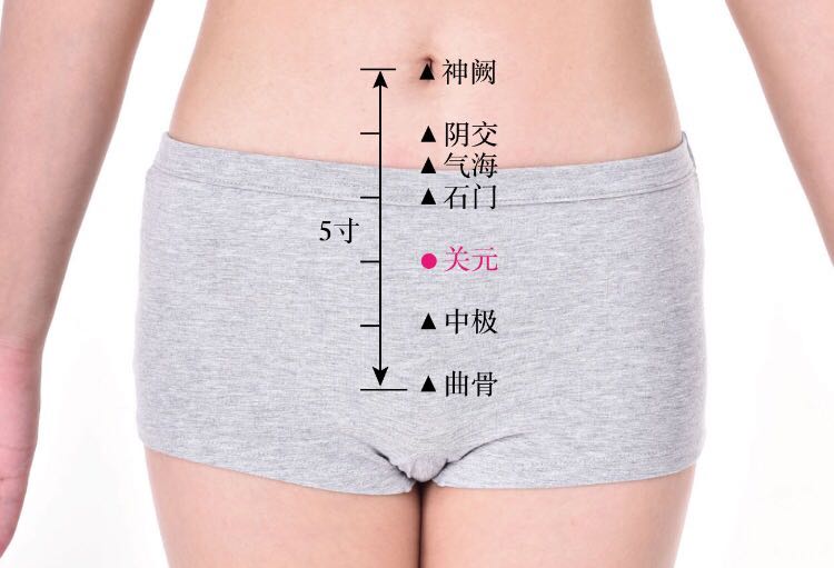 关元的证治纲要与定位图解