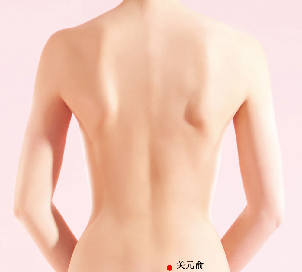 关元俞的证治纲要与定位图解