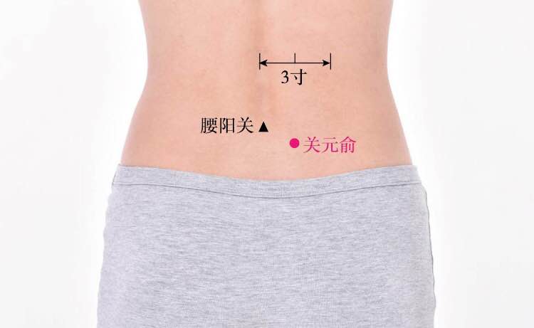 关元俞的证治纲要与定位图解